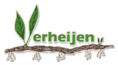 Logo Verheijenplants